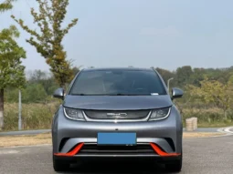 
										2021 BYD DOLPHIN BEV 44.9KWH full									