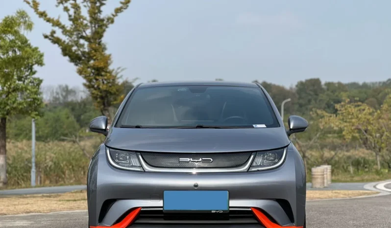 
								2021 BYD DOLPHIN BEV 44.9KWH full									