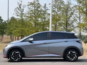 2021 BYD DOLPHIN BEV 44.9KWH