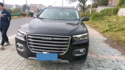
										2020 HAVAL H6 1.5T 169HP L4 7DCT full									