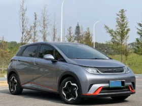 2021 BYD DOLPHIN BEV 44.9KWH