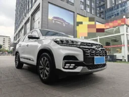 
										2021 CHERY TIGGO 8 1.6T 197HP L4 7DCT full									