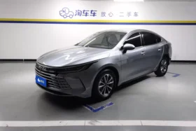 BYD AUTO BYD Destroyer 05