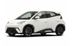 BYD Dolphin 2025 Smart Driving Edition 420km Freedom Edition