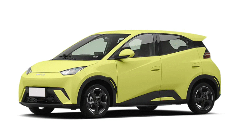 
								BYD seagull 305km autonomia full									