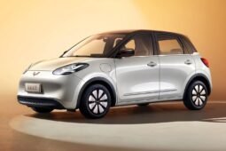 Bgmw wulling bingo 333km