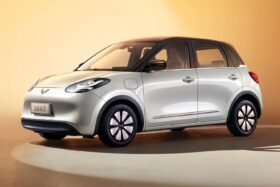 Bgmw wulling bingo 333km