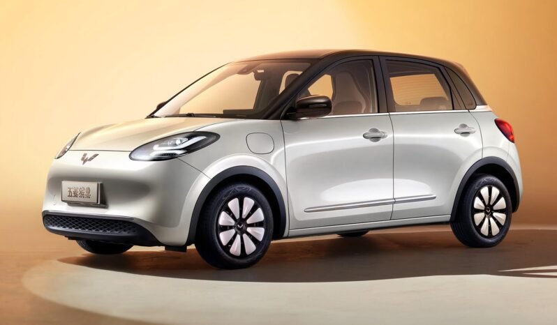 
								Bgmw wulling bingo 333km full									