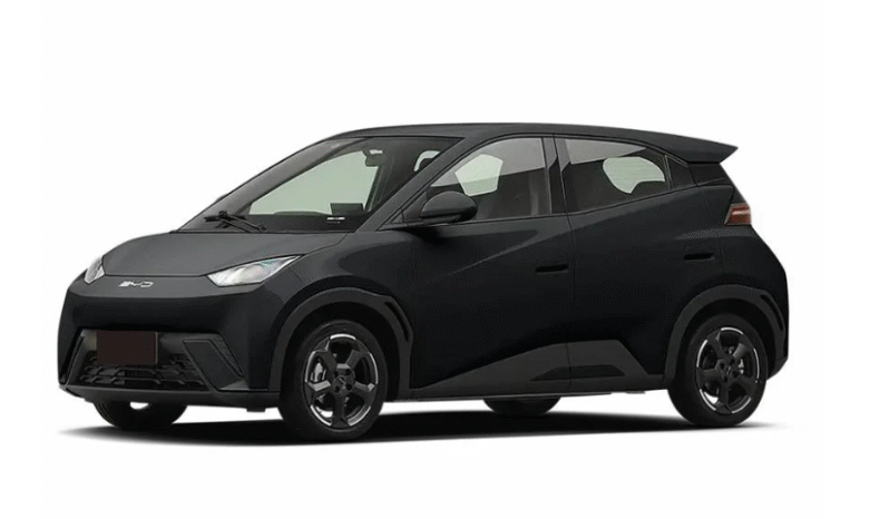 
								BYD seagull 305km autonomia full									