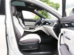 
										BYD song plus 605km autonomia full									