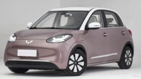 Bgmw wulling bingo 333km