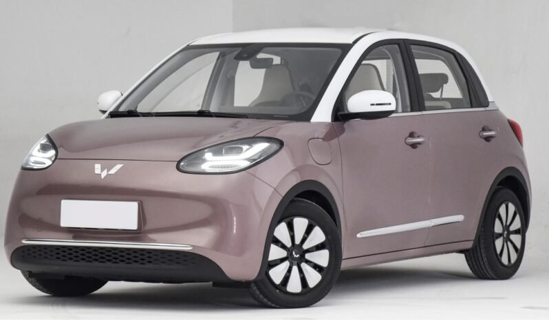 
								Bgmw wulling bingo 333km full									